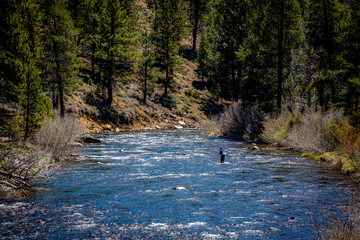 Fly fishing the Truckee river, a beautiful cold clear clean trout stream in California and Nevada close to Lake Tahoe. © Donald Blodger