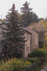 residential buildings with large trees in the yard