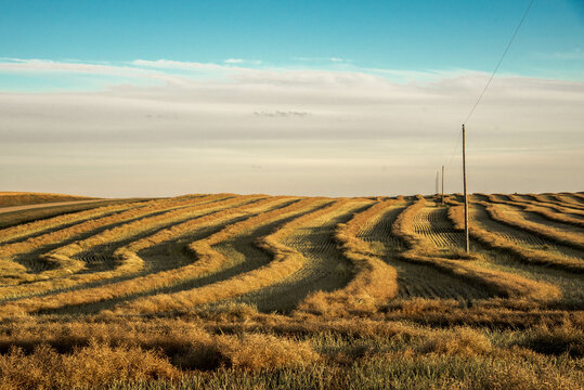 Swathing Изображения: просматривайте стоковые фотографии, векторные ...