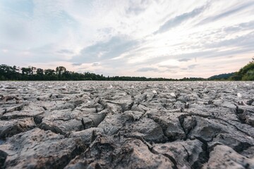 Cracked surface of a dry lake before greenery in Bavaria Germany