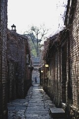 Vertical shot of old narrow street between brick houses covered by climbing plants and branches