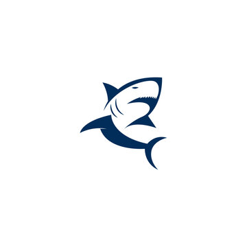 Digital illustration of a blue shark company logo design on a white background