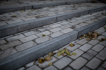 paving stones in the street