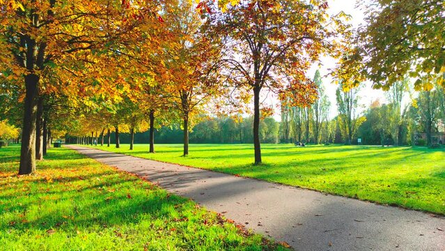 Autumn season in an urban park, Milan, Italy.