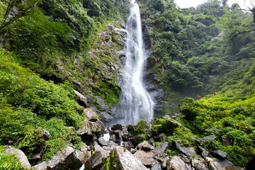 waterfall in the forest