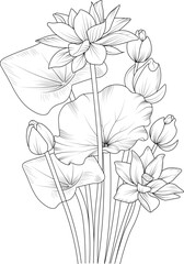 illustration of a lotus flower, vector sketch pencil art, bouquet floral coloring page and book isolated on white background clipart.
