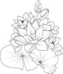 Hand-drawn lotus flower bouquet vector sketch illustration engraved ink art botanical leaf branch collection isolated on white background coloring page and books.
