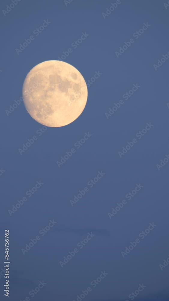 Wall mural rising almost full moon in blue evening sky timelapse vertical video
