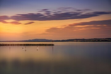 Obraz premium Beautiful sunset scene over large sea with ducks and land on the horizon