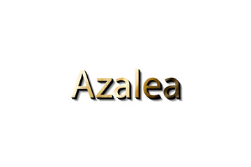 AZALEA 3D NAME MOCKUP