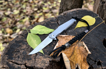 Folding knife cutting stainless steel blade gray titanium handle black lanyard green yellow leaves...