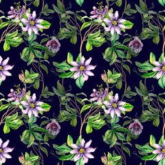 Passion flower plant watercolor seamless pattern isolated on dark