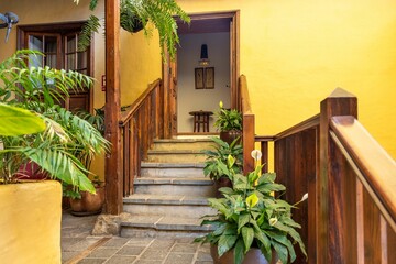 House exterior with stone stairs with wooden handles and window frame, flower pots and plants around