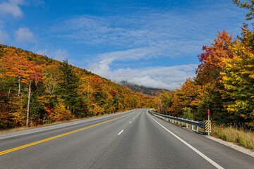 Beautiful autumn road with colorful trees on both sides