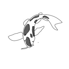 Koi fish black and white sketch design with a transparent background