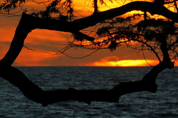 sunset over the pacific