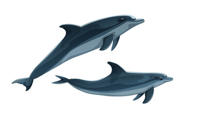 Pair of dolphins swimming isolated on white background. Marine wild life concept. Realistic style logo with couple of dolphins. Sea animal image. Friendly ocean mammal character. Vector illustration