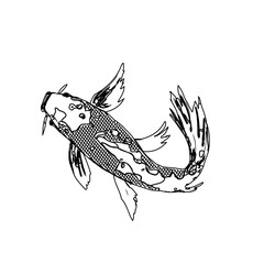 Koi fish black and white sketch design with a transparent background