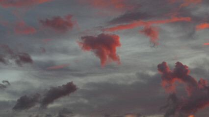 Fototapeta Nuvole rosse obraz
