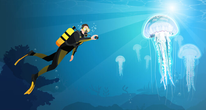 Scuba diver man swimming underwater in ocean, take a photo big jellyfish with camera. Diving sport in wetsuit with oxygen tank, gear, equipment, aqualung, fins on deep seabed. Flat vector illustration