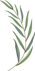 Watercolor leaf painting clipart png