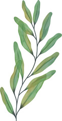 Watercolor leaf painting clipart png