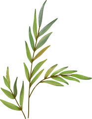 Fototapeta premium Watercolor leaf painting clipart png