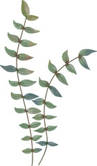 Watercolor leaf painting clipart png