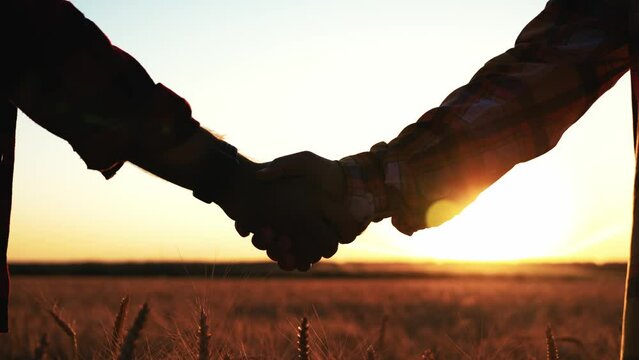 Close-up of men's handshake at sunset. Farmers or businessmen in wheat field made contract or gesture of respect when meeting. Friends hold hands and shake them up and down. Teamwork, cooperation.