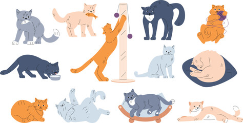Cartoon cats characters. Cute various behavior funny cat. Fur kittens play, sleep and eat. Isolated playful kitty pets in different poses, kicky vector animal characters