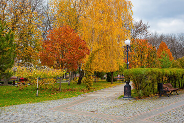 Bright orange color of autumn leaves on the trees in the city garden in Krumenchuk city