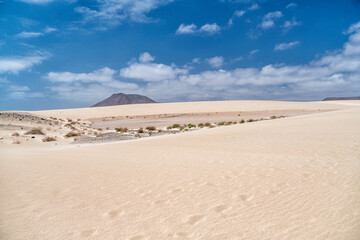 Fototapeta na wymiar Playa de Corralejo, Fuerteventura, Canary Islands