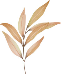 Watercolor leaf painting clipart png