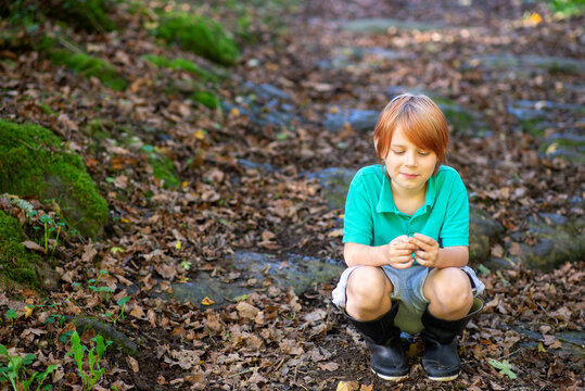 a boy of nine sits on a path in the woods alone