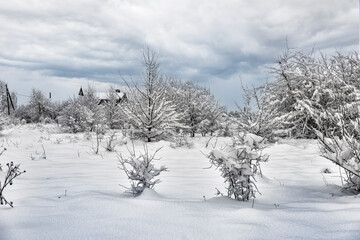 Landscape of the outskirts of the village on a cloudy winter day