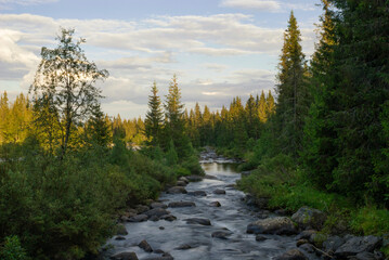 Fototapeta na wymiar Small river in the Norwegian Gausdal valley