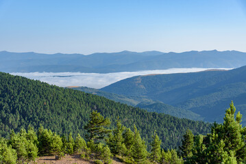 Aerial view of high mountains covered by green pine forest in Neila lagoons natural park with clouds below the peaks in the background in morning daylight, Neila, Burgos, Spain