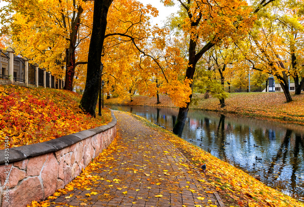 Wall mural golden colors of autumn in a public domain park