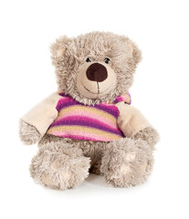 Toy teddy bear in shirt