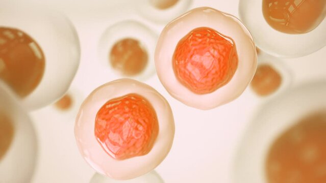 Cell division. Cells dividing under the microscope. Cloning cells. Mitosis in process. The process of tumor growth and reproduction