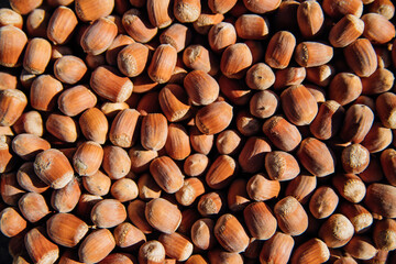 Photo of a hazelnut. The concept of an autumn background made of hazelnuts, healthy, organic brown hazelnuts. Food background. Bright sunlight.