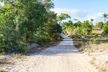 Fototapeta na wymiar Sand road in the countryside of bahia, city of Conde, Brazilian coast, path with curb