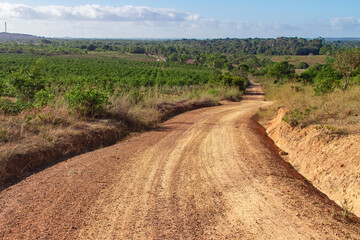 Fototapeta na wymiar Sand road in the countryside of bahia, city of Conde, Brazilian coast, path with curb