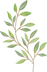 Watercolor leaf painting clipart png
