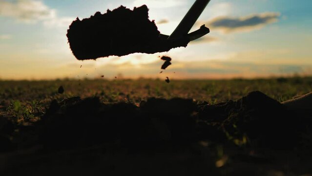Male feet wearing rubber boots, farmer digging ground on garden bed with an shovel in field close-up. Gardening equipment and tool. Plowing on farmland. Agricultural hard work. Agribusiness.