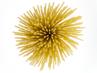 Spaghetti fan on a white background close-up.