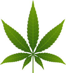 Hemp cannabis leaf