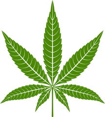 Hemp cannabis leaf - 545763708