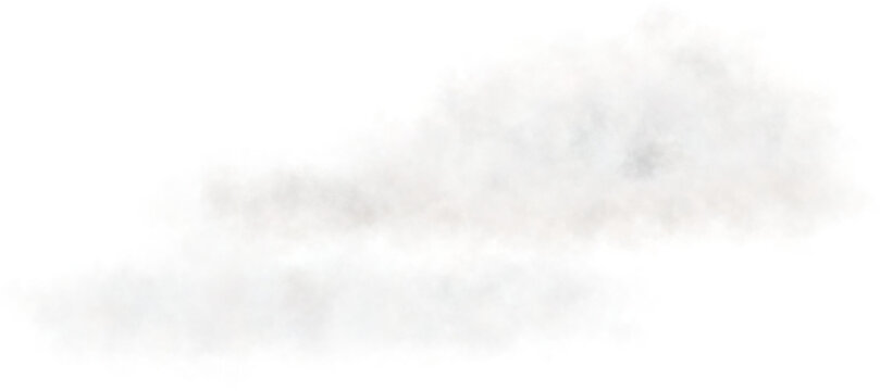 White 2024 png background