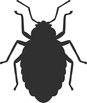 Bug Insect Black Silhouette Icon
